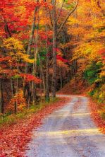 rich mt road.jpg